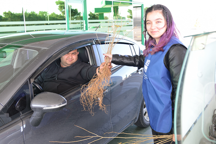 “Azpetrol” Company together with the Ministry of Ecology and Natural Resources has organized a “Mulberry seedlings” fair