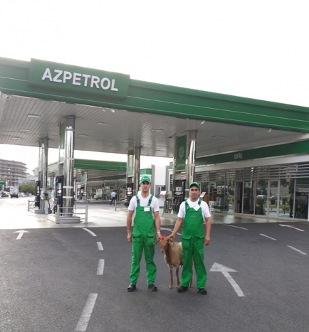 The "Azpetrol" company marks the Moslem Festival of Sacrifice