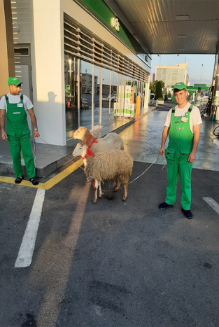 Azpetrol” şirkəti Qurban bayramını YDM-də qeyd edir. 